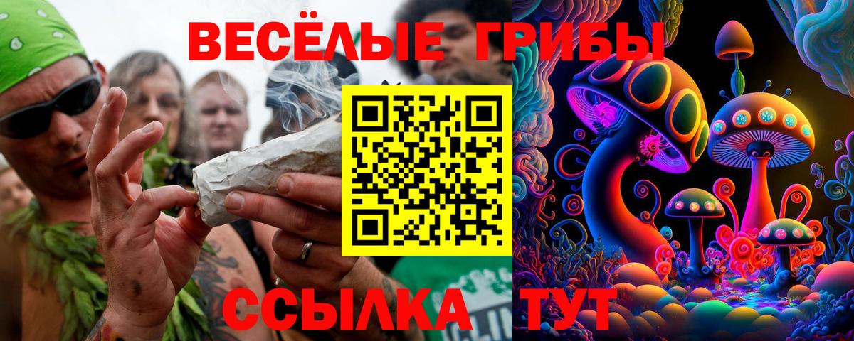 Галлюциногенные грибы мицелий  цена   Вход с VPN  Ефремов  Псилоцибиновые грибы MAGIC MUSHROOMS 